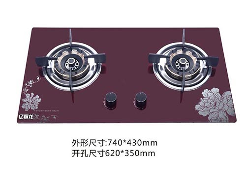 亿翔龙嵌入式灶9