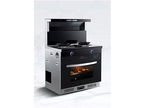 国内灶燃气,热水器,烟机,电热水器,消毒柜,环保灶,亿翔龙集团,国内厨具,厨房用品,帅运来,智荣好太太